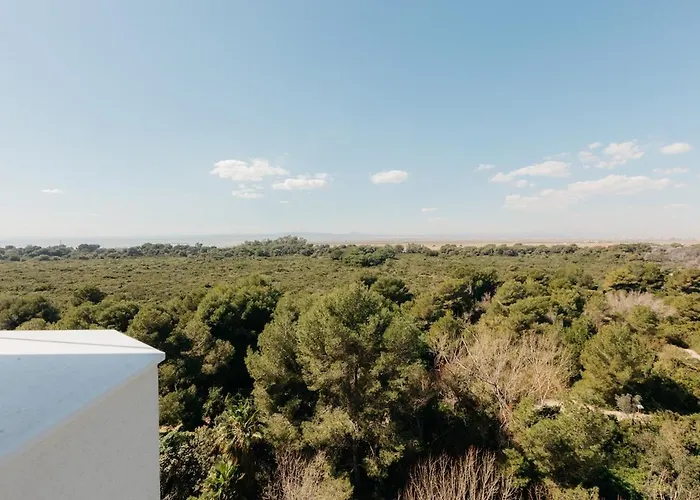 El Saler, A Magical Retreat Between Sea And Nature * Valência